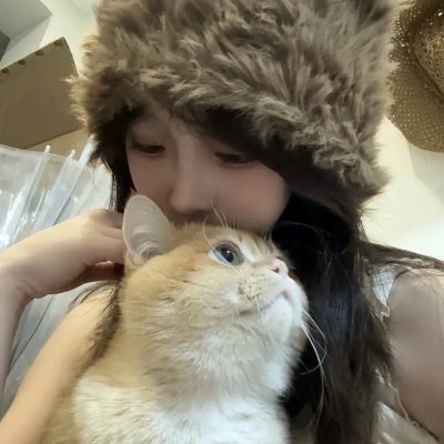 约瑟夫·钱伯斯的正直 封面